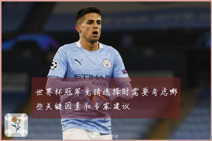 世界杯冠军竞猜选择时需要考虑哪些关键因素和专家建议