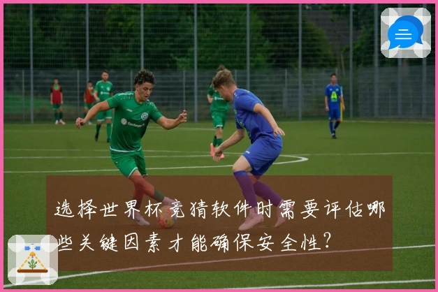 选择世界杯竞猜软件时需要评估哪些关键因素才能确保安全性？