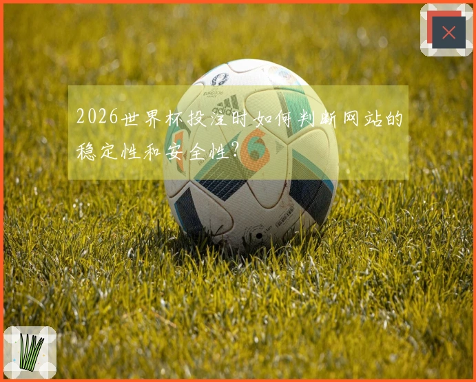 2026世界杯投注时如何判断网站的稳定性和安全性？