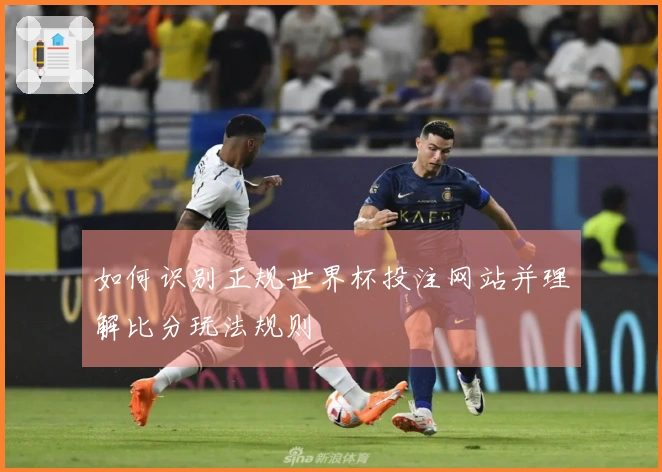 如何识别正规世界杯投注网站并理解比分玩法规则