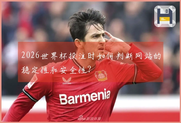 2026世界杯投注时如何判断网站的稳定性和安全性？
