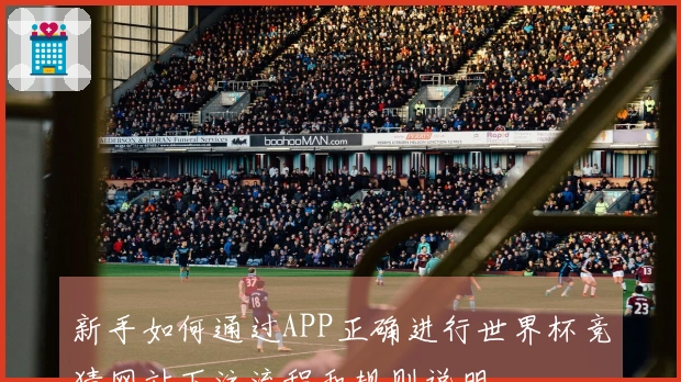 新手如何通过APP正确进行世界杯竞猜网站下注流程和规则说明