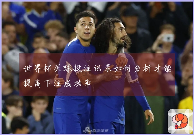世界杯买球投注记录如何分析才能提高下注成功率